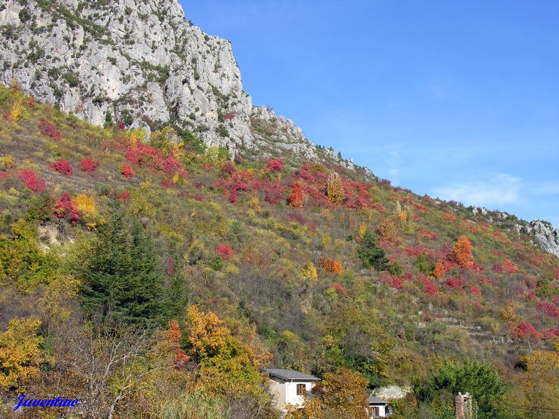 La Brigue